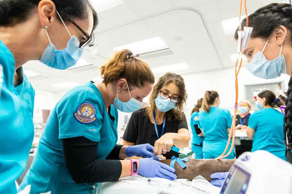 ACC护理副学士(ADN)的学生和教师参加2级, 静脉治疗实验室在一个新的国家的最先进的模拟实验室在高地校园.